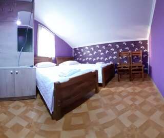 Мини-отель Telavi Host Guesthouse in Telavi, Kakhetia Телави Небольшой двухместный номер с 2 отдельными кроватями-1